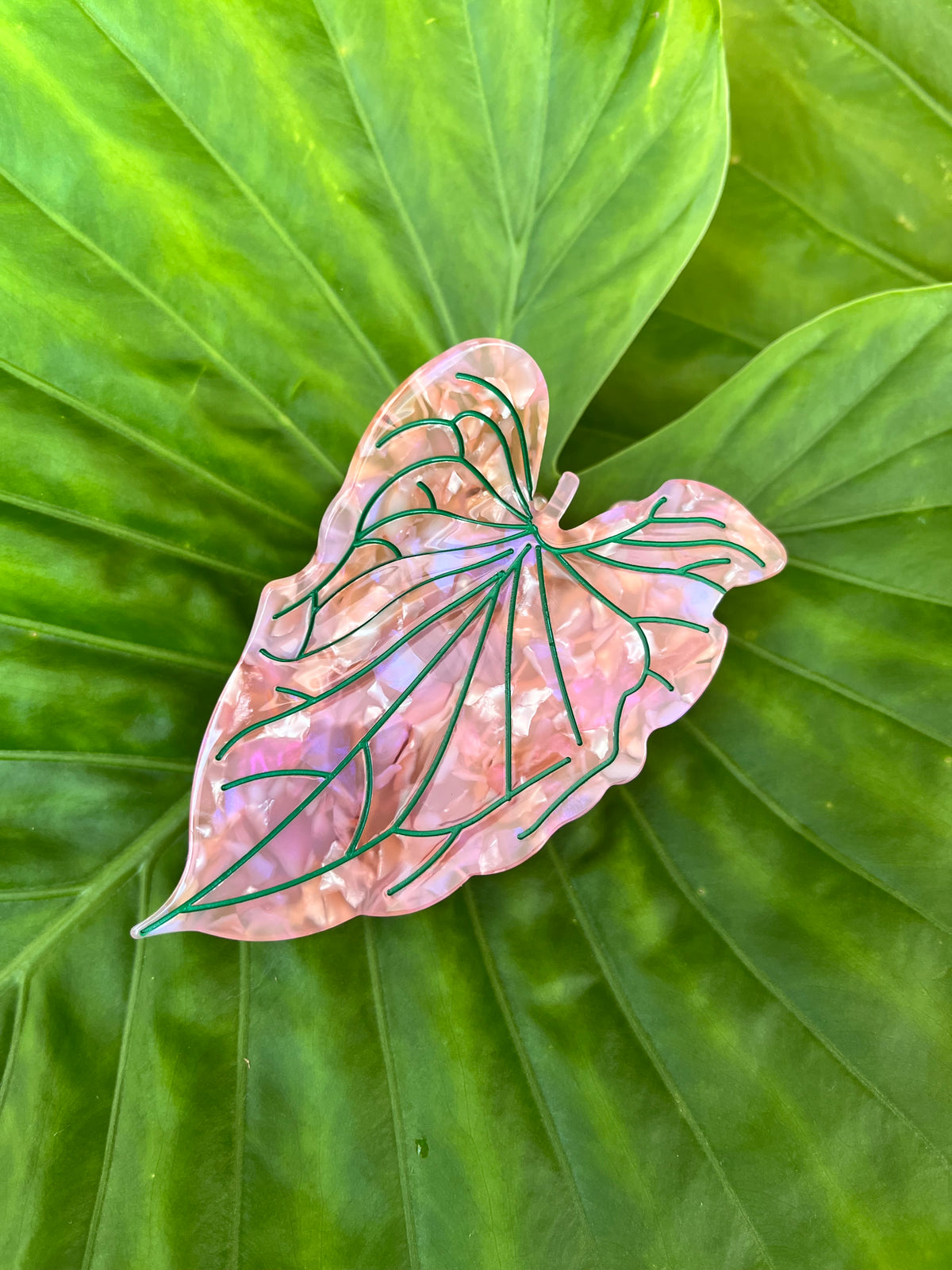 Kalo Clip Light Coral