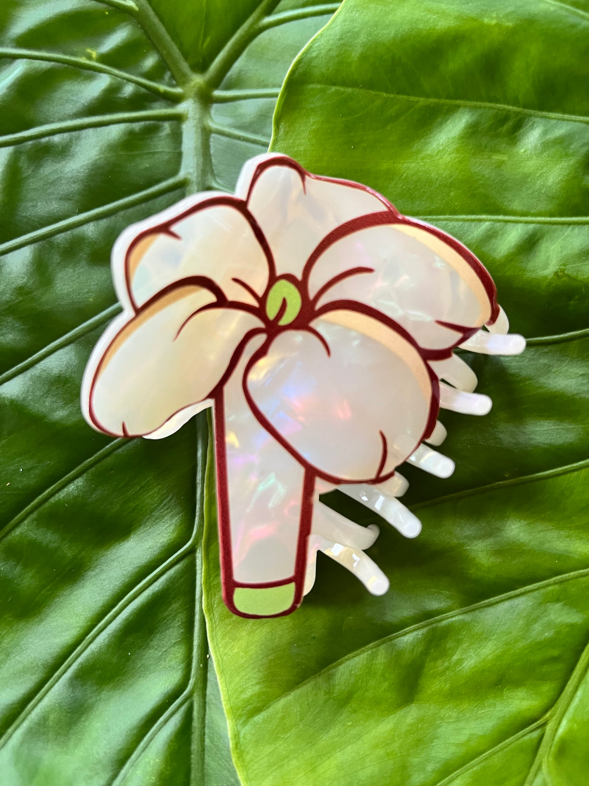 Puakenikeni Single Flower Clips