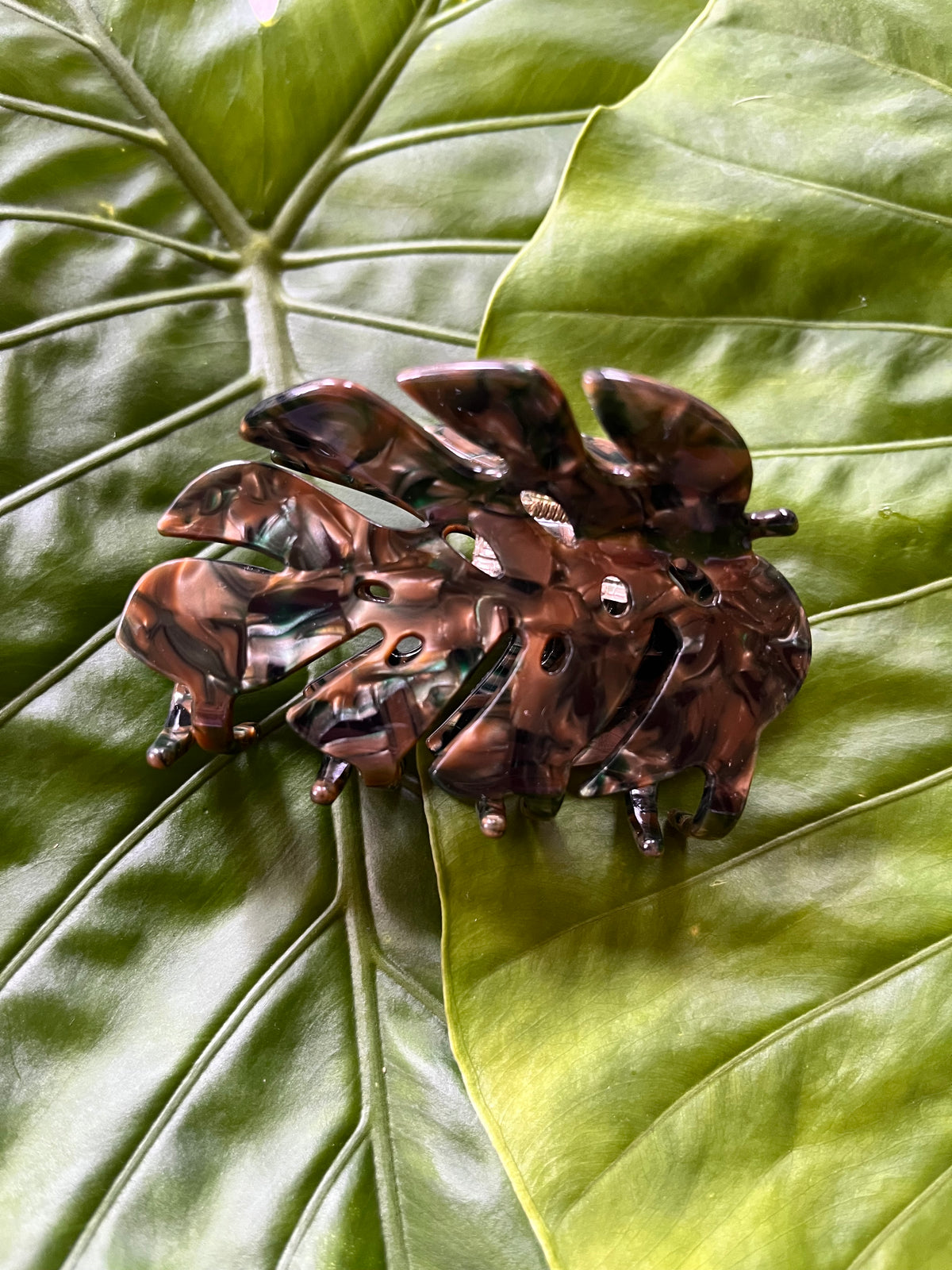 Monstera Clip Brown & Olive
