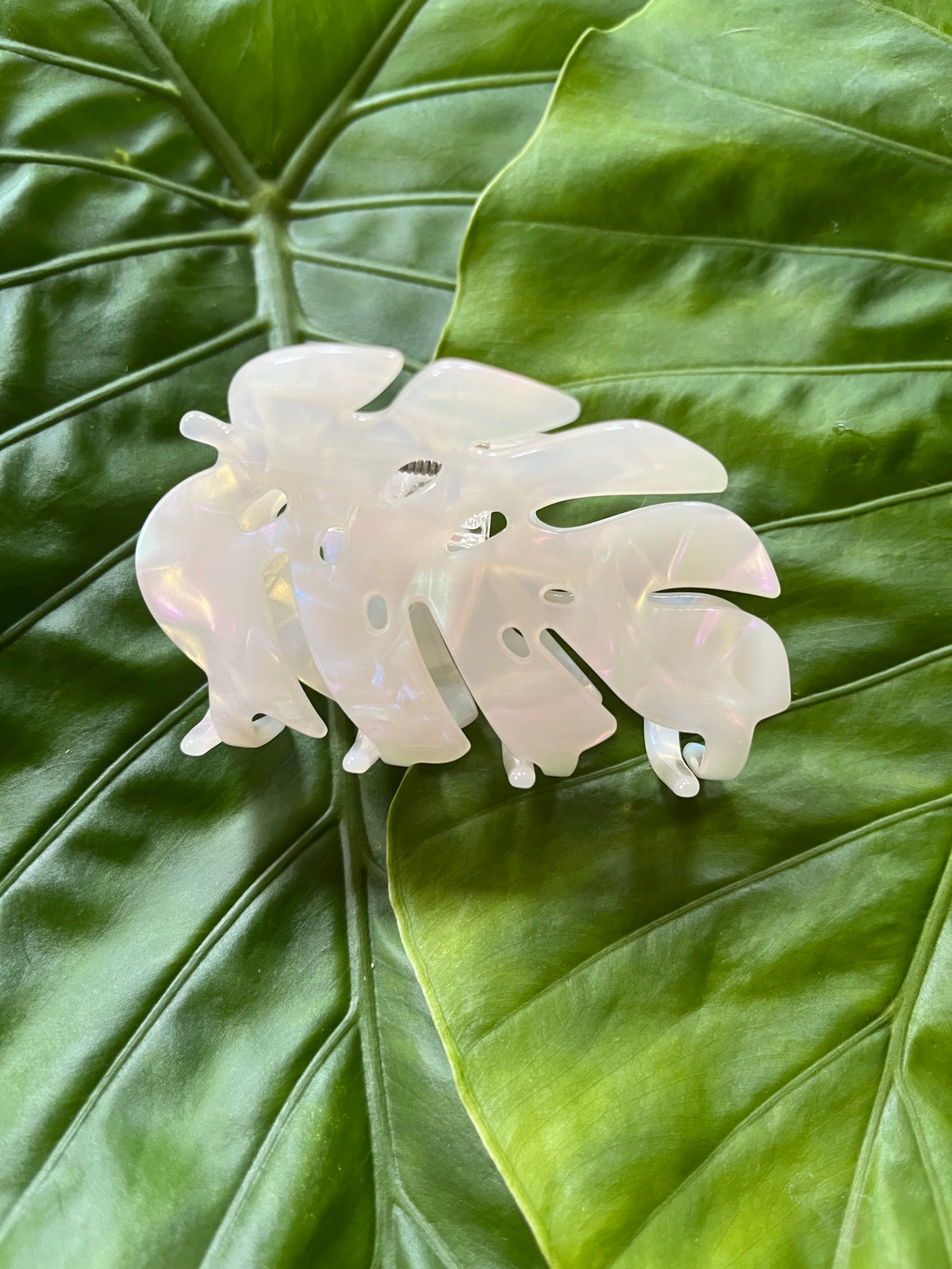 Monstera Clip Pearl White