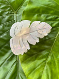 Monstera Clip Large White