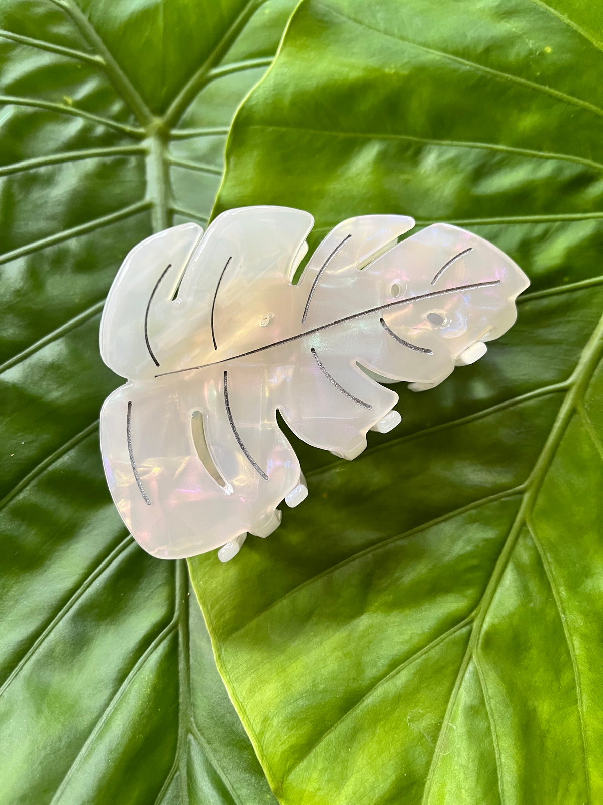 Monstera Clip Large White