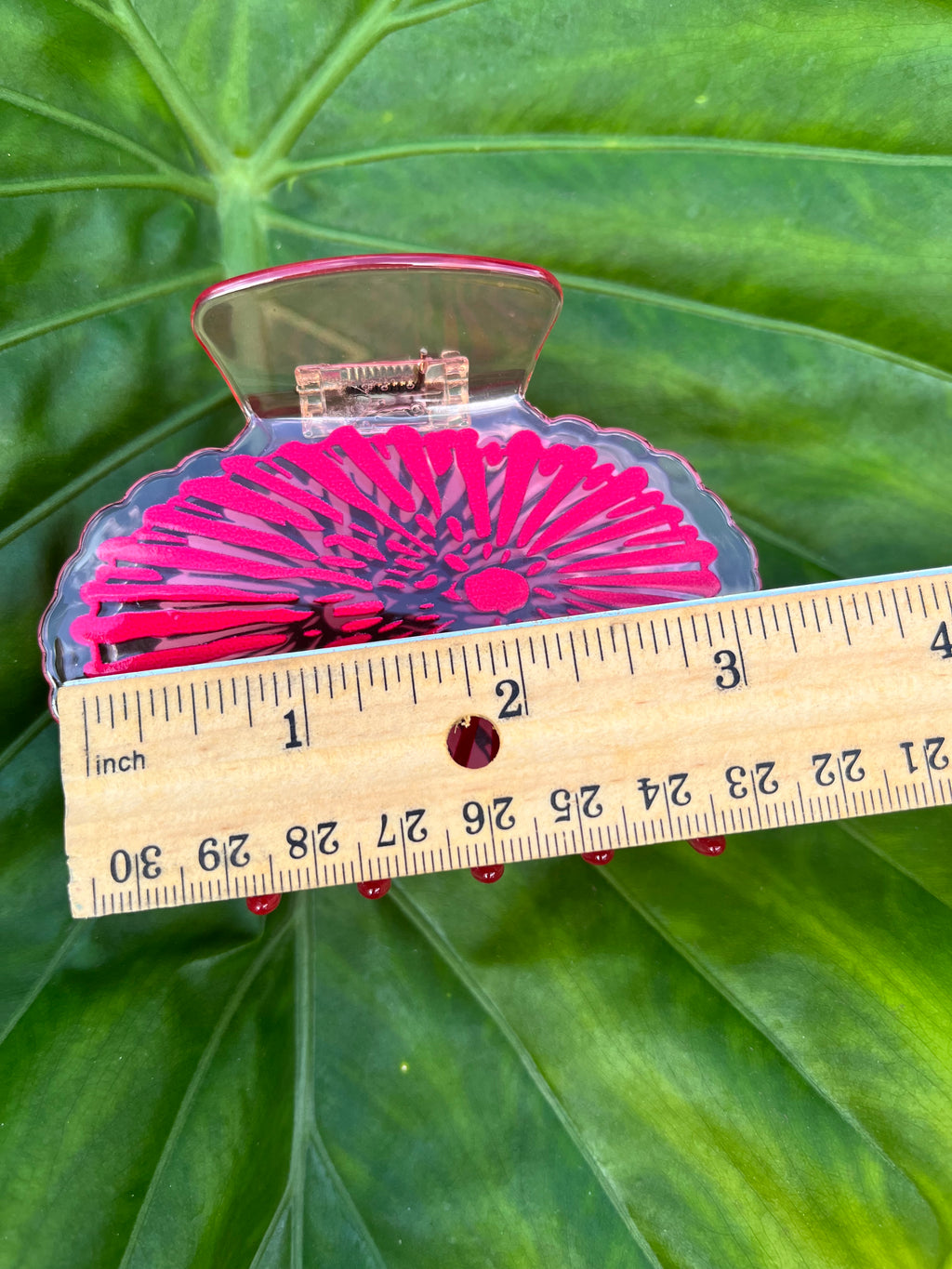 Opihi Shell Clip Pink