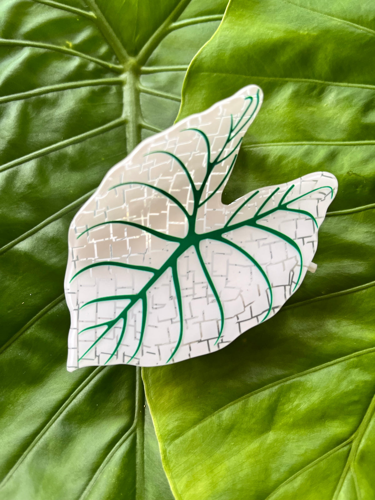 Kalo Clip White & Green Geo