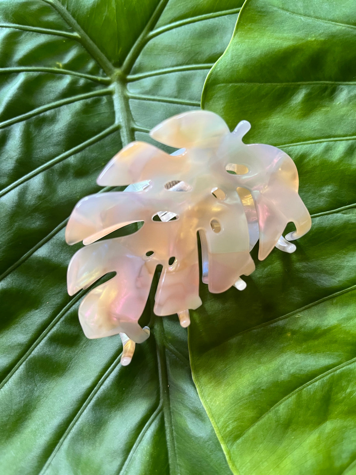 Monstera Clip Iridescent