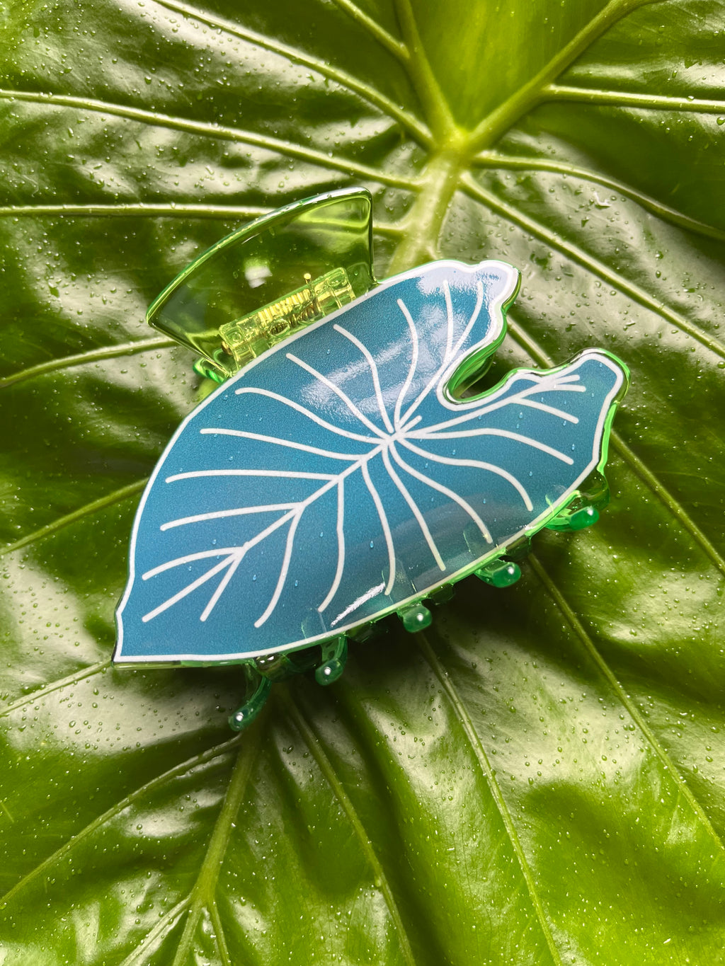 Kalo Clip Teal and Lime Green
