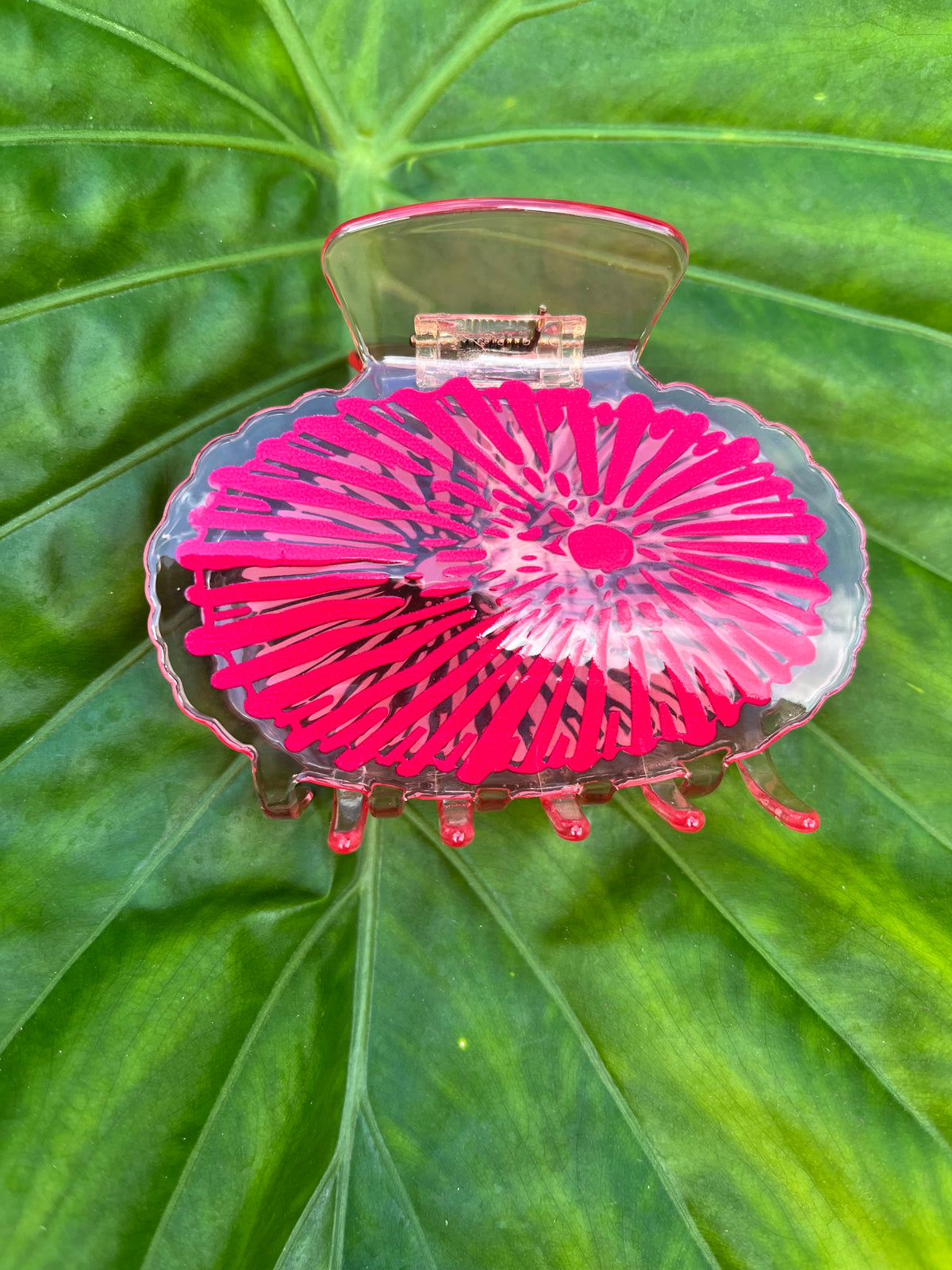 Opihi Shell Clip Pink
