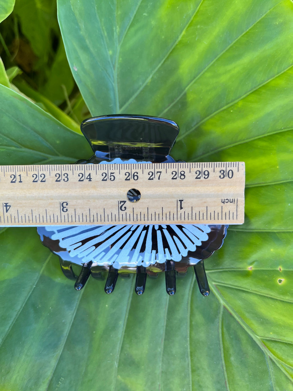 Large Opihi Clip