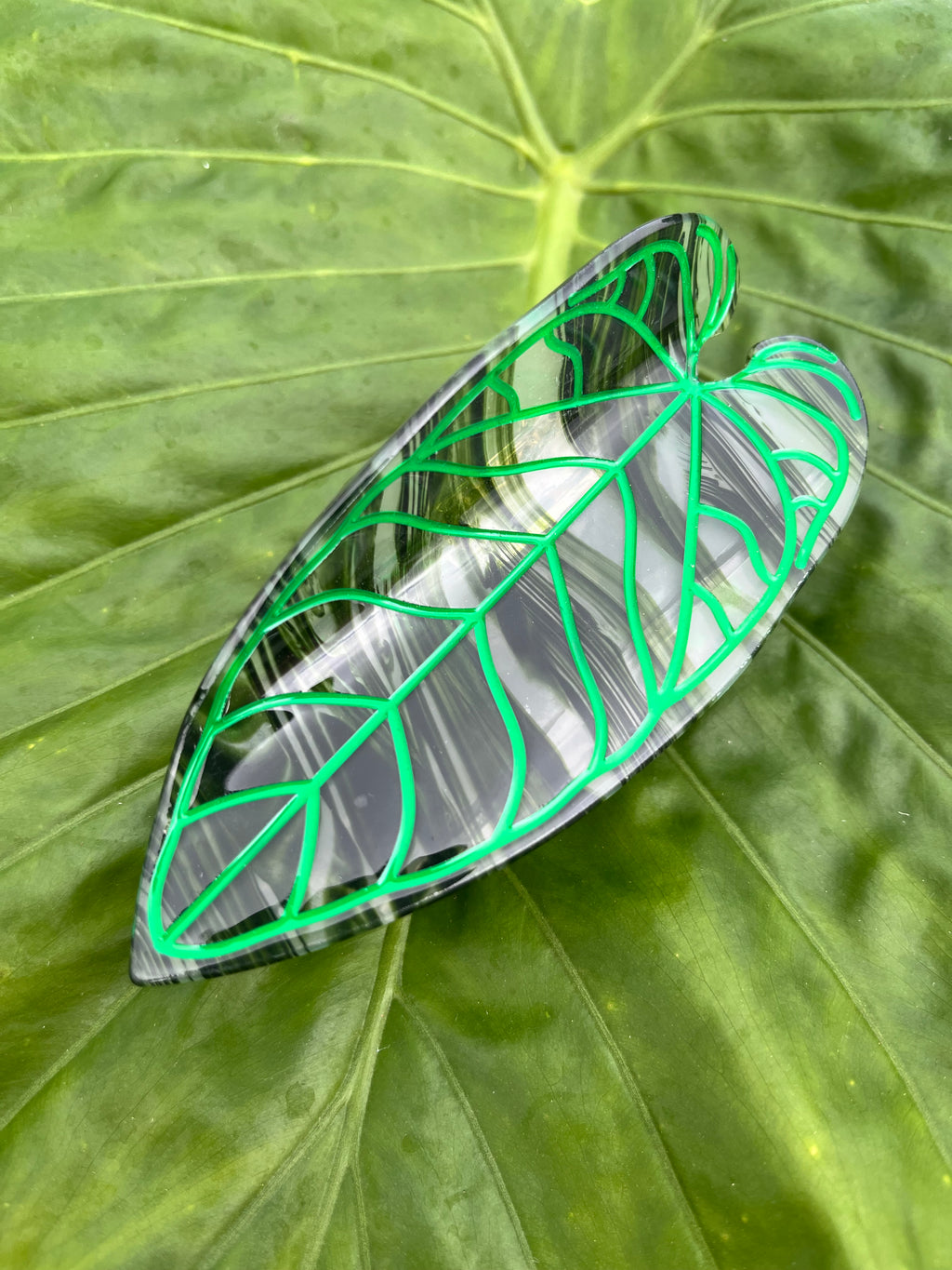 Large Kalo Dark Green Clip