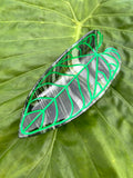 Large Kalo Dark Green Clip