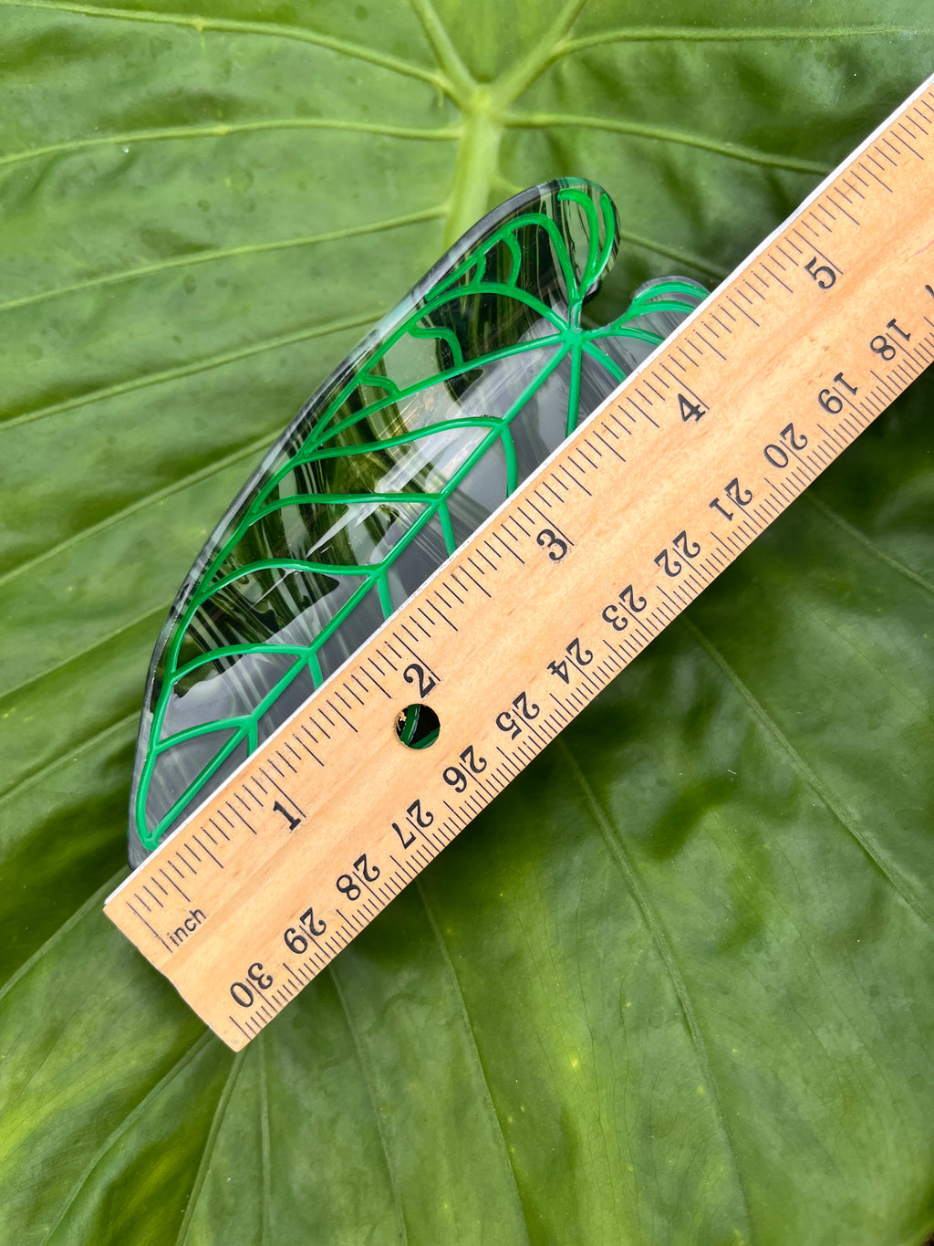 Large Kalo Dark Green Clip