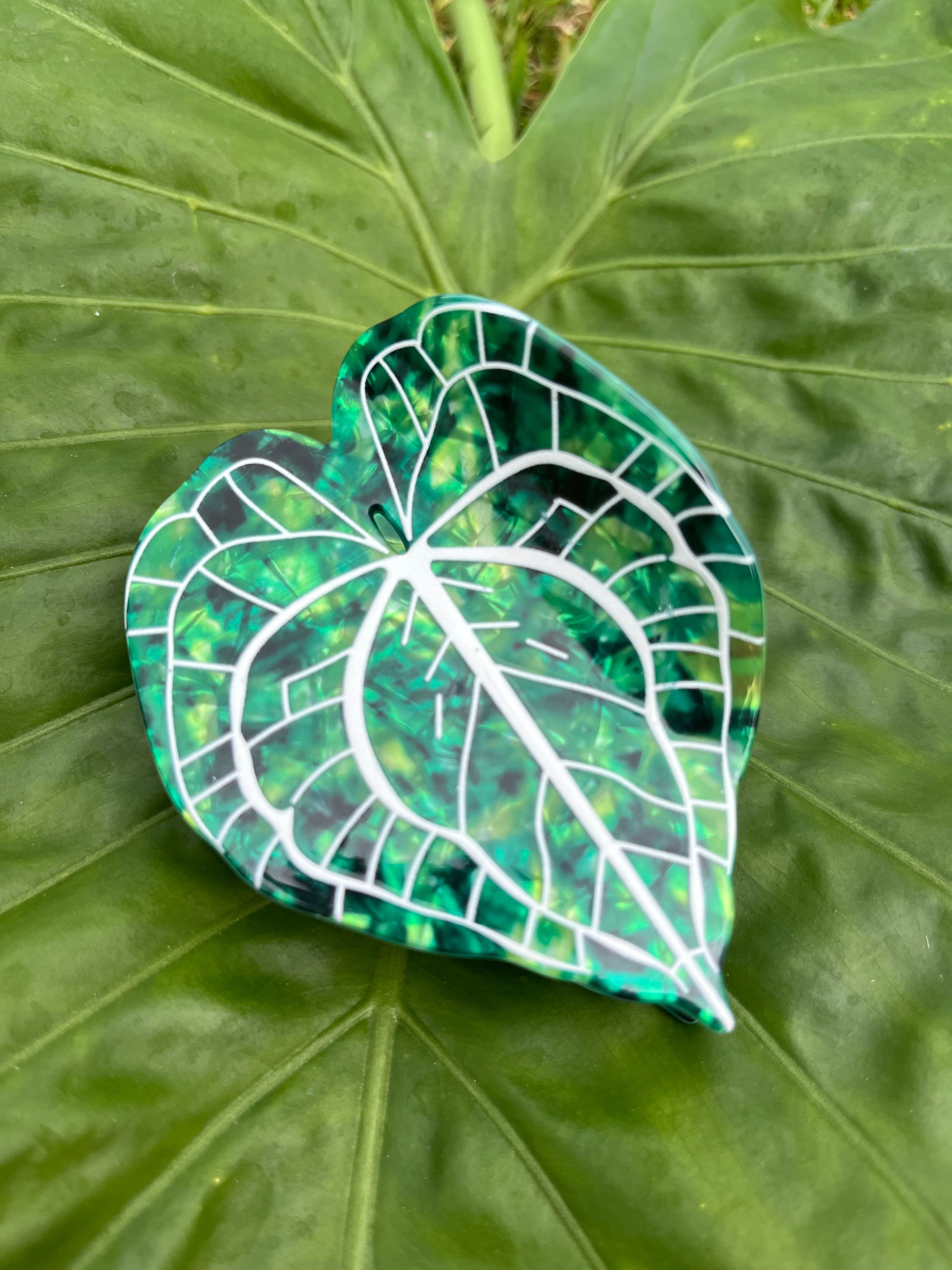 Kalo Clip Green & White