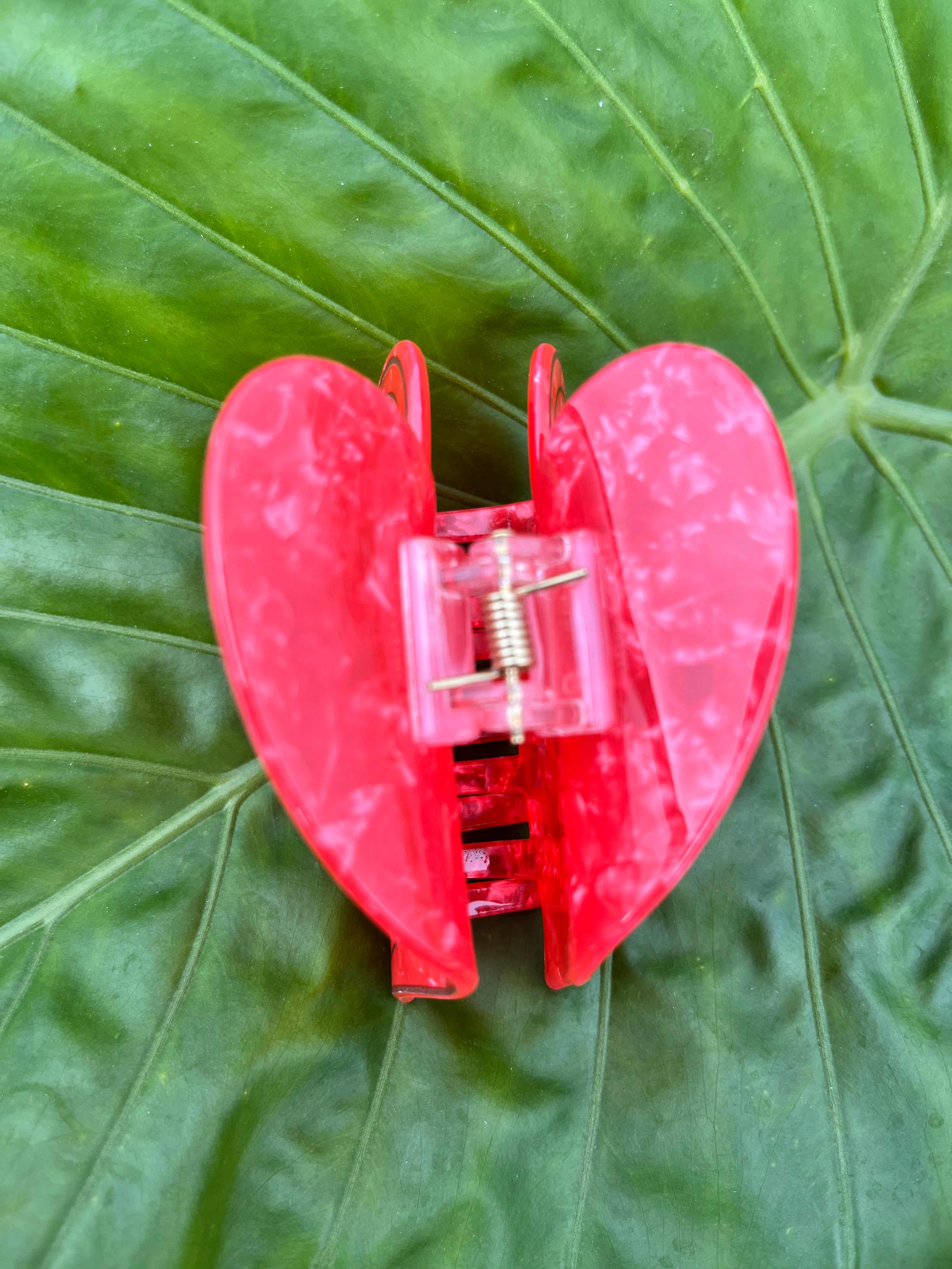 Red Anthurium Clip