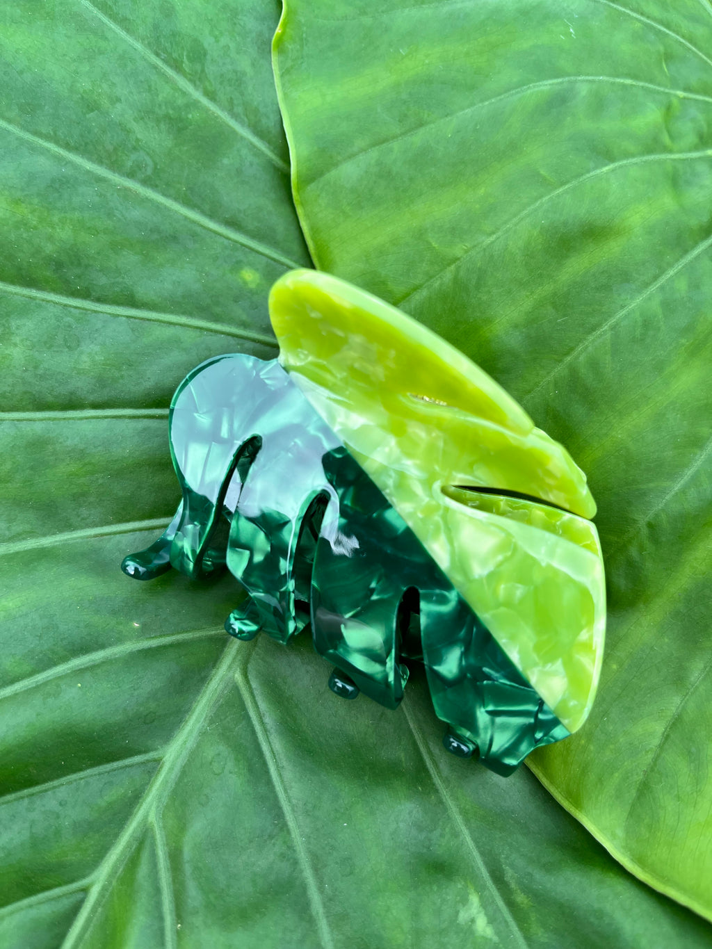 Two tone small Monstera leaf clip