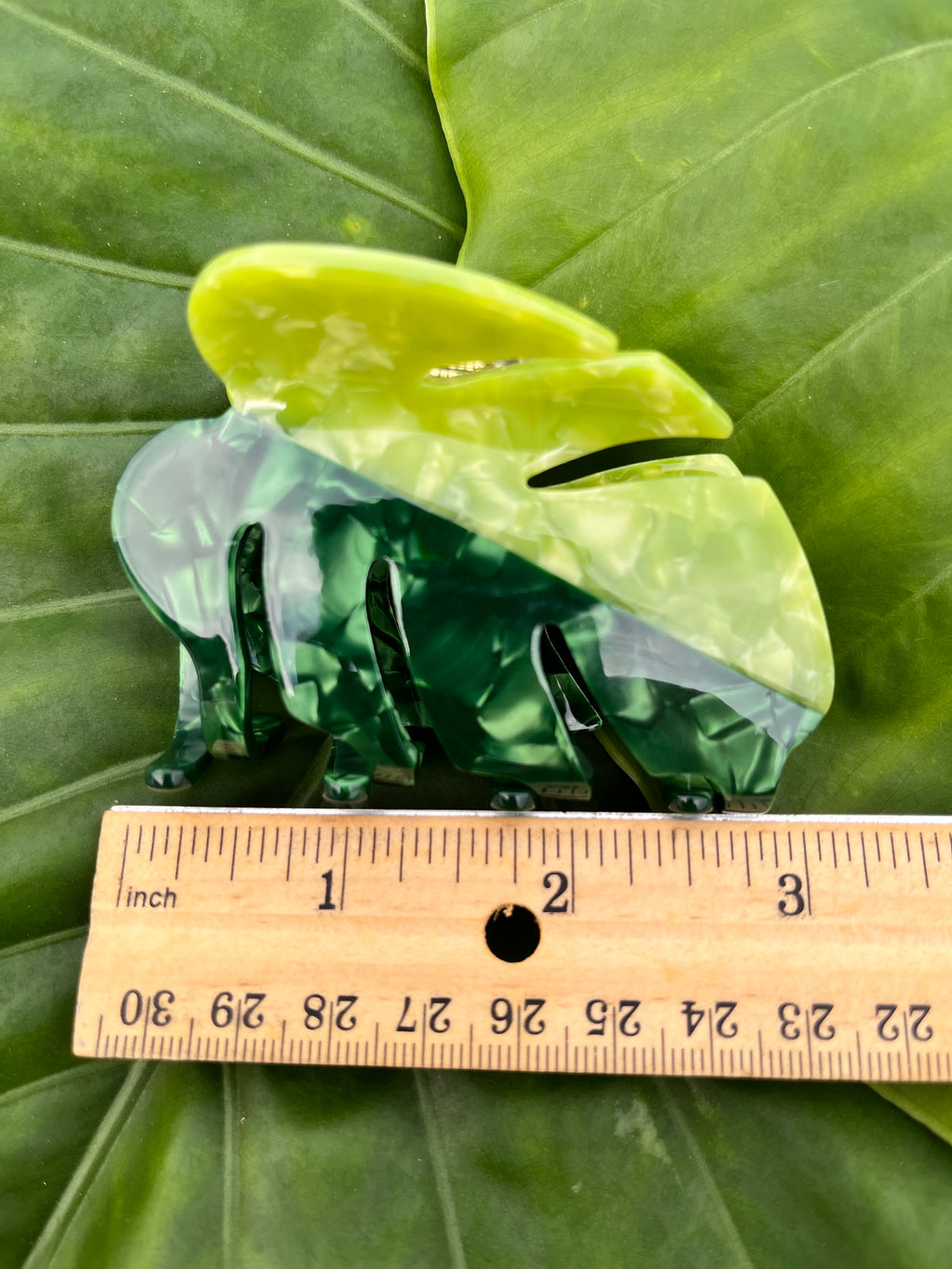 Two tone small Monstera leaf clip