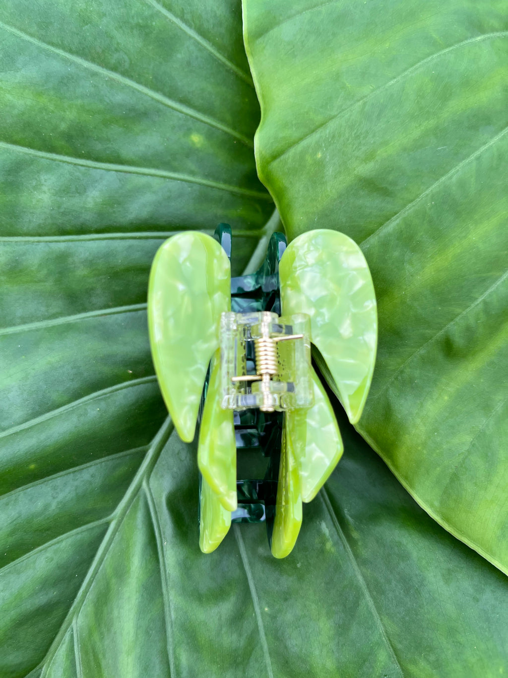 Two tone small Monstera leaf clip