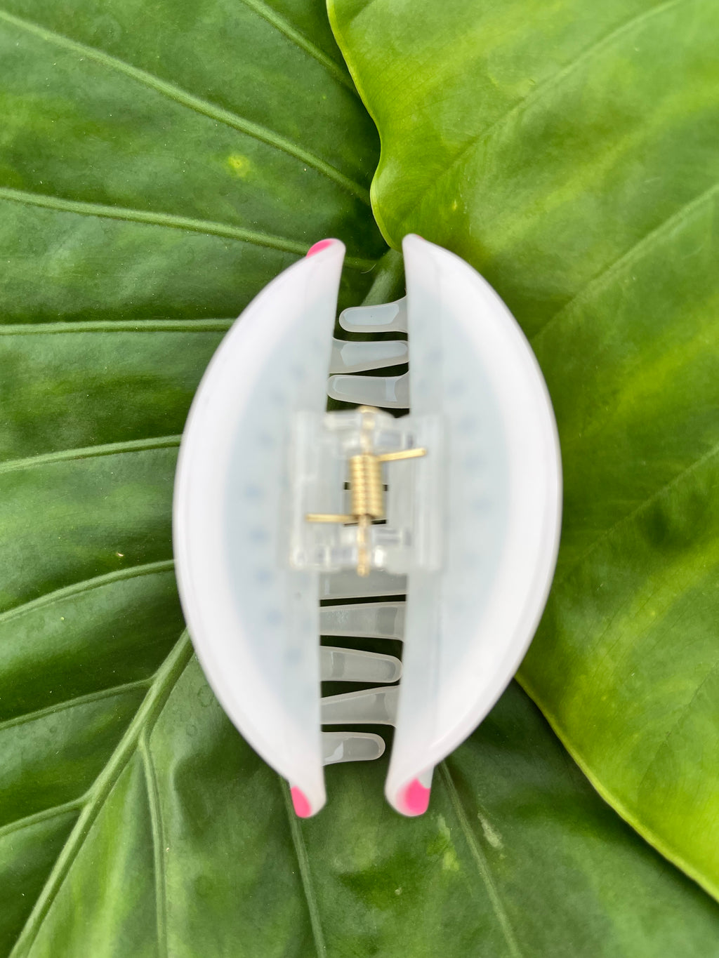 Dragon Fruit Clip