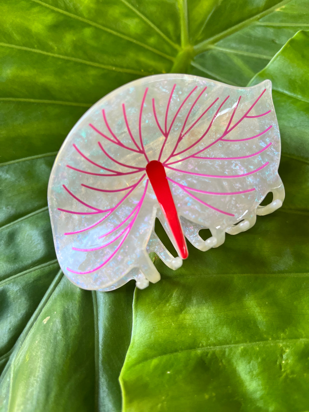 Anthurium Flower Clip White & Pink