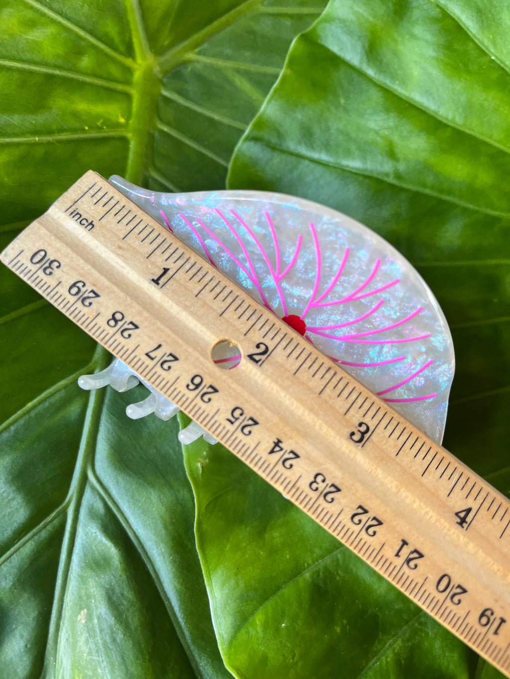 Anthurium Flower Clip White & Pink